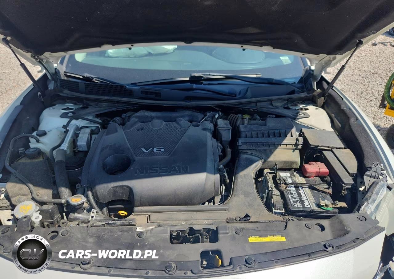 2018 Nissan Maxima Platinum VIN:1N4AA6AP5JC366302 - 11