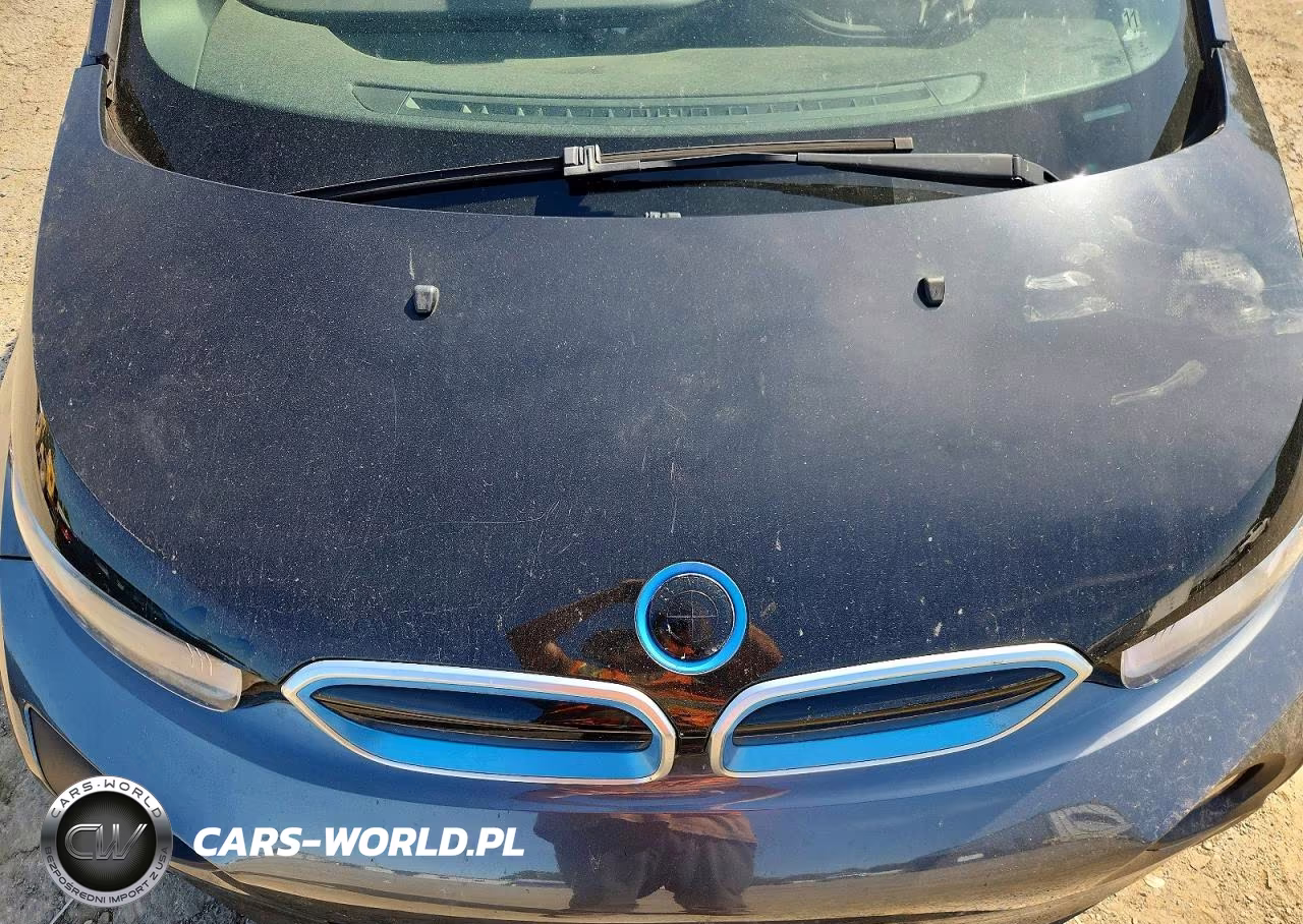 2017 BMW I3 Rex VIN:WBY1Z8C59HV551394 - 11