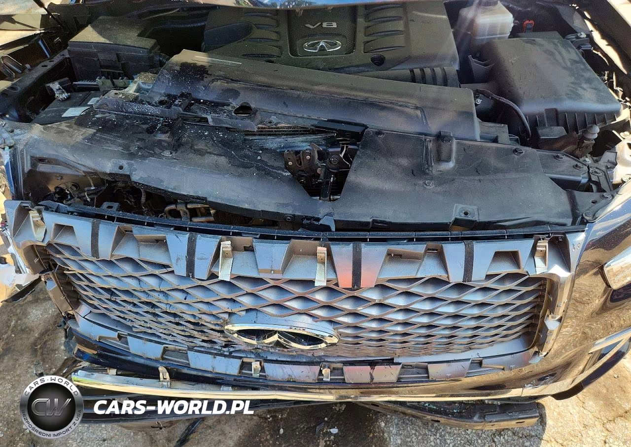 2019 Infiniti Qx80 Luxe VIN:JN8AZ2NDXK9850366 - 11