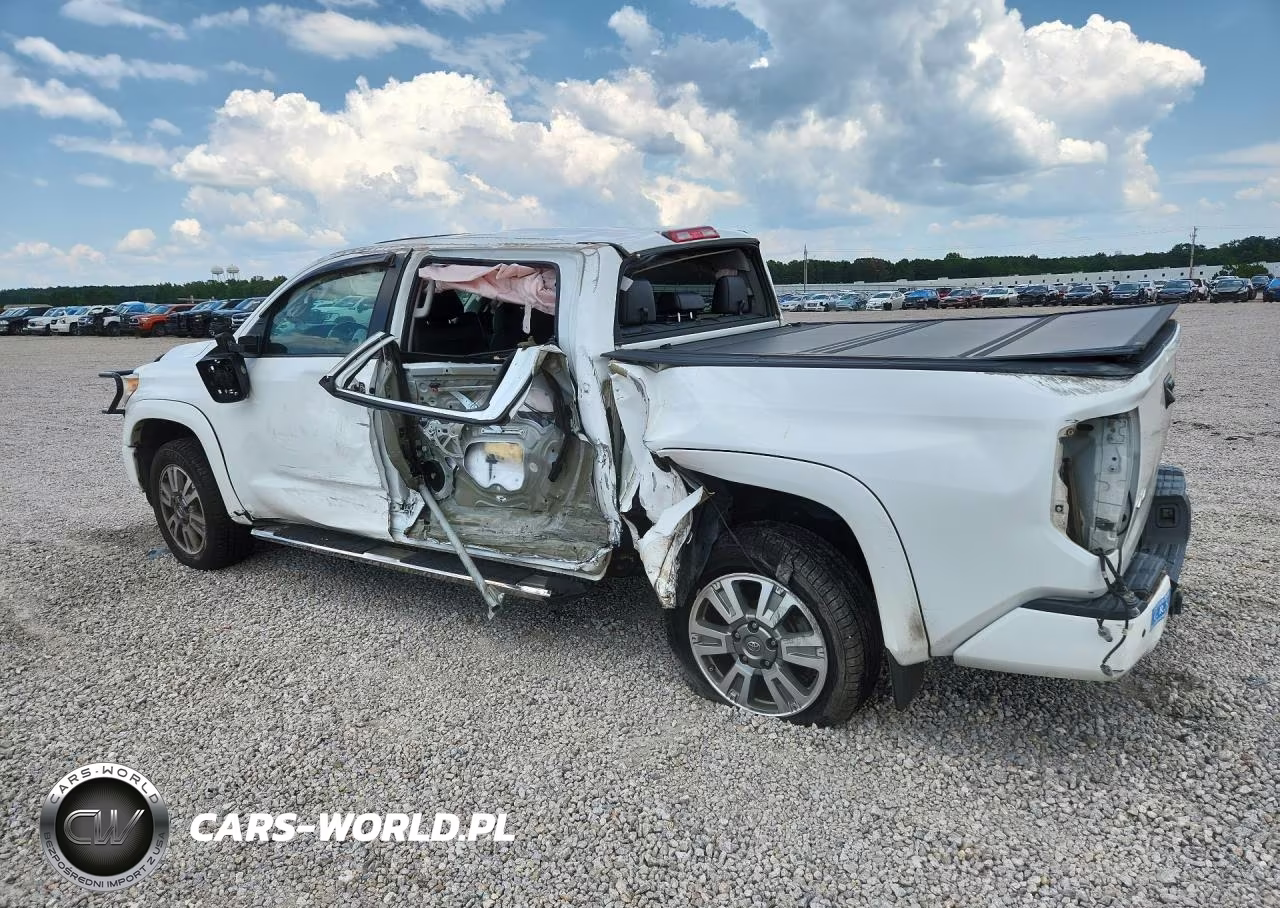 2016 Toyota Tundra Platinum VIN:5TFAW5F11GX546873 - 2