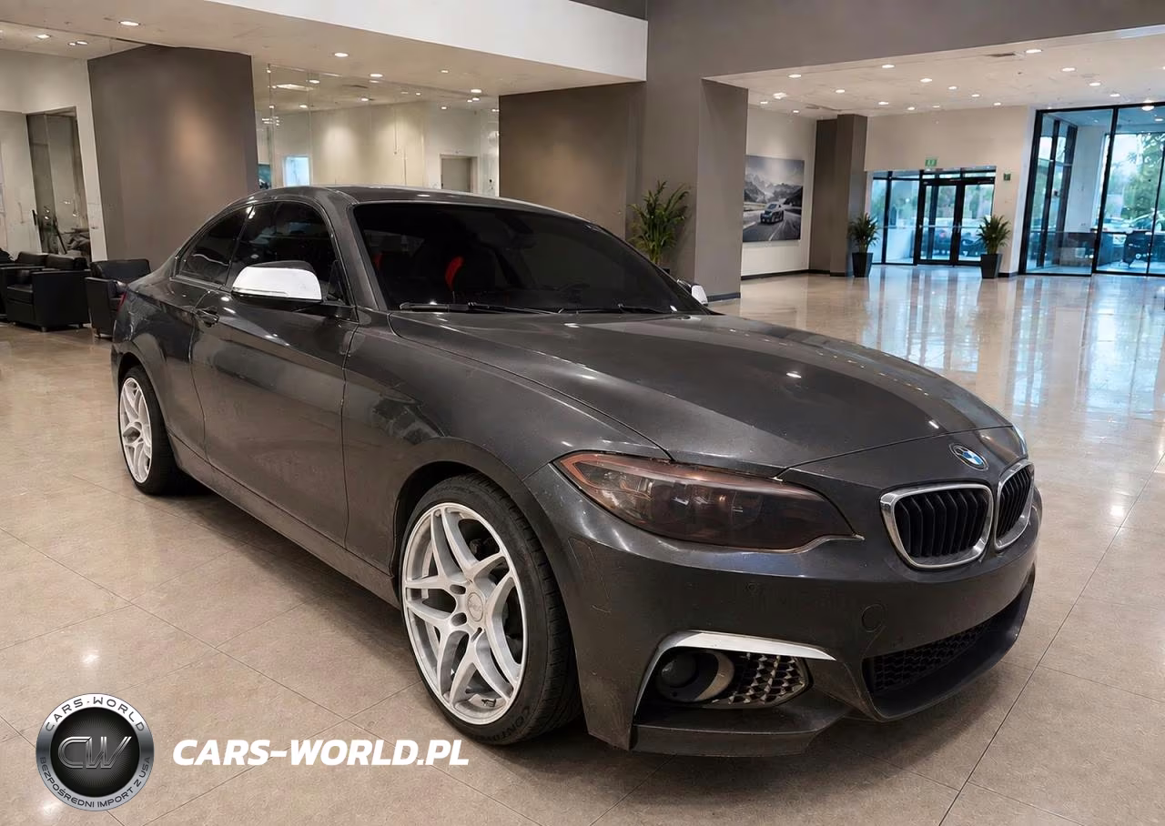 2017 BMW 230Xi