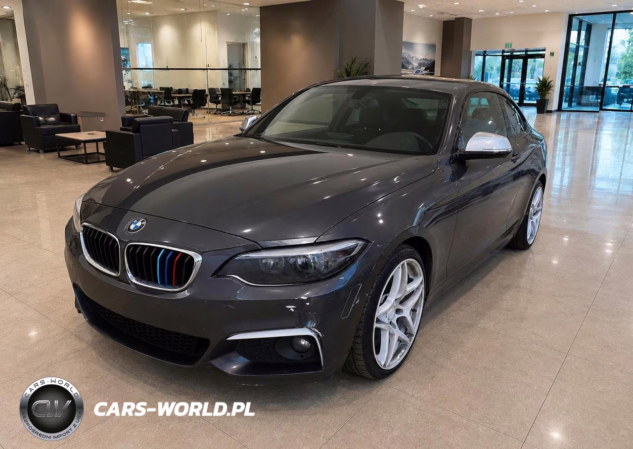 2017 BMW 230Xi VIN:WBA2H9C39HV642580 - 2