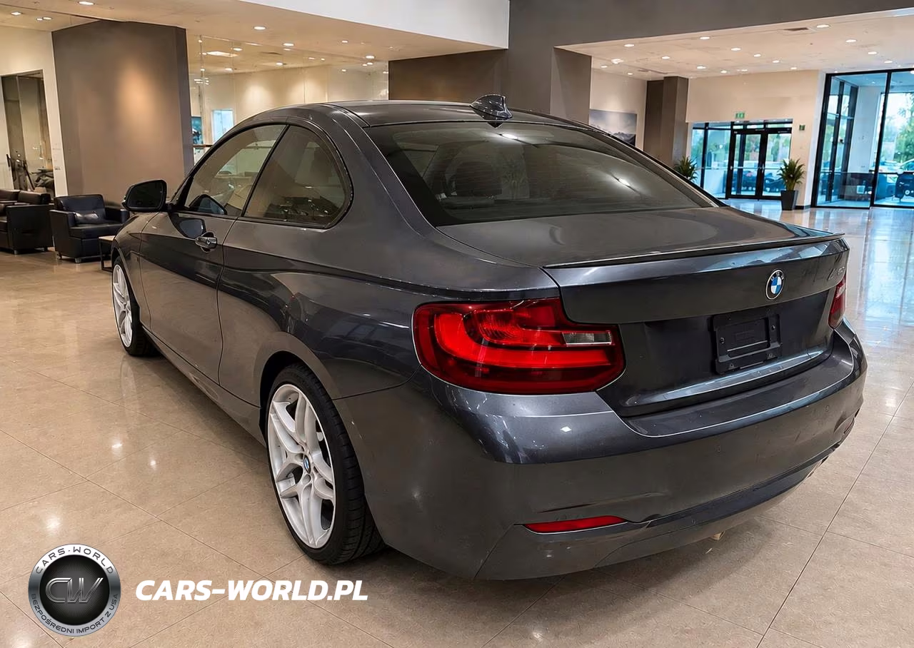 2017 BMW 230Xi VIN:WBA2H9C39HV642580 - 3