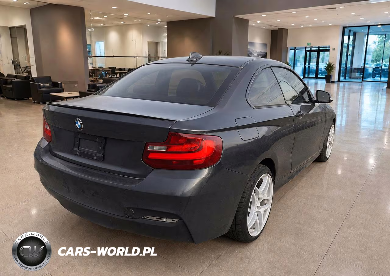 2017 BMW 230Xi VIN:WBA2H9C39HV642580 - 4