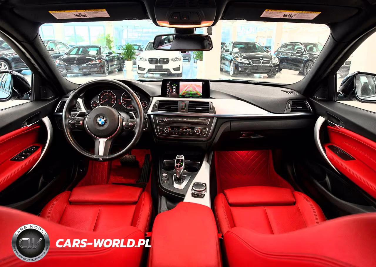 2017 BMW 230Xi VIN:WBA2H9C39HV642580 - 9