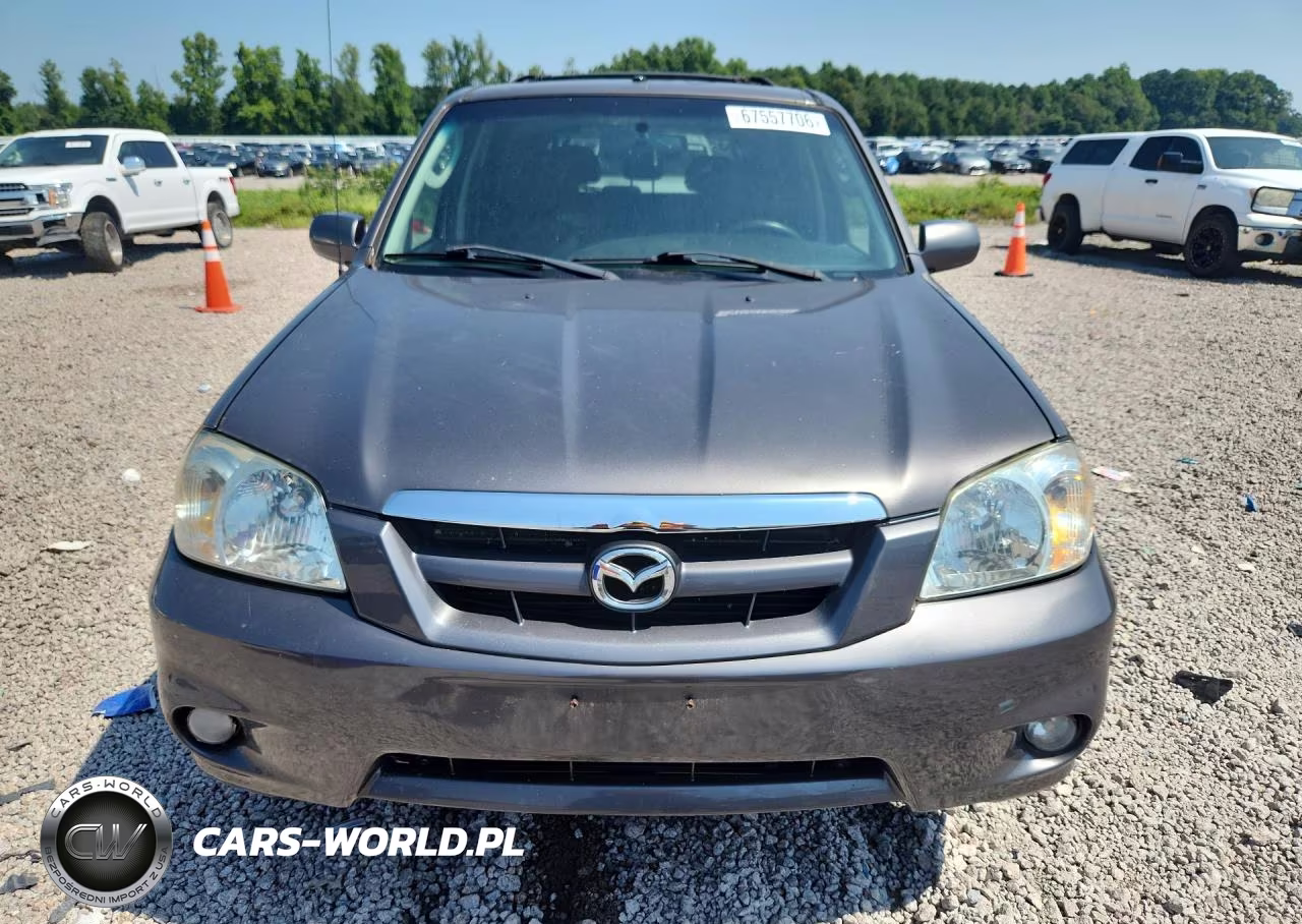 2006 Mazda Tribute S VIN:4F2CZ04136KM29698 - 5