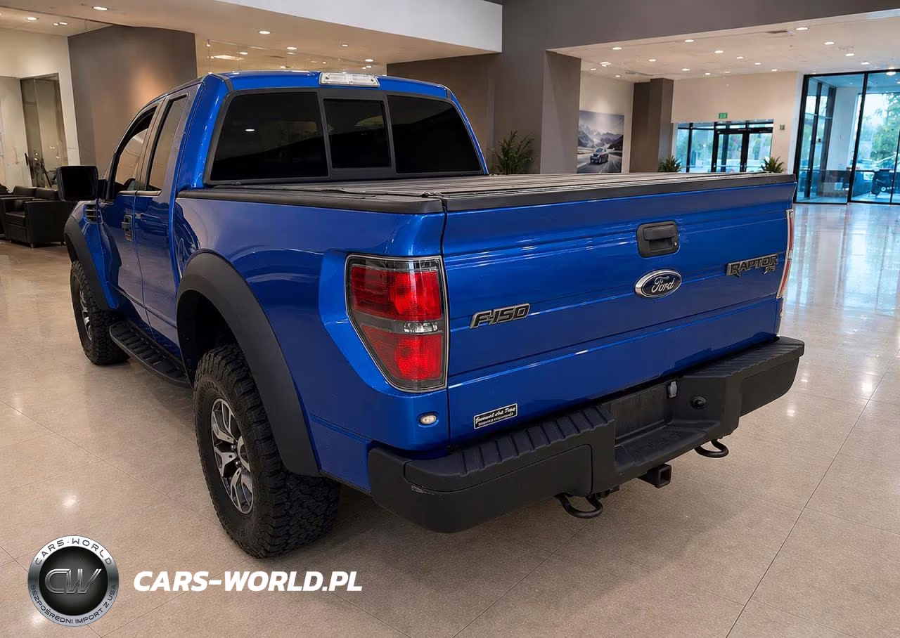 2010 Ford F-150 Svt Raptor VIN:1FTEX1E69AFB99066 - 3