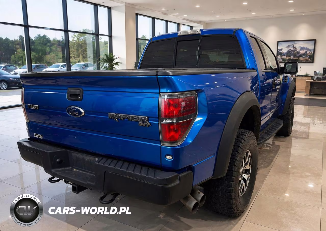2010 Ford F-150 Svt Raptor VIN:1FTEX1E69AFB99066 - 4