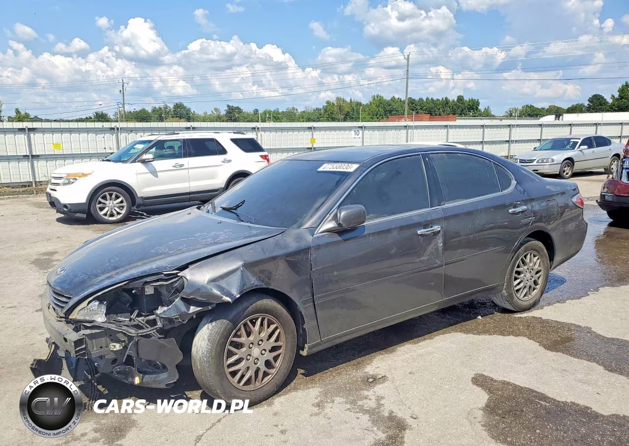 2004 Lexus Es 330 VIN:JTHBA30G945029685 - 1
