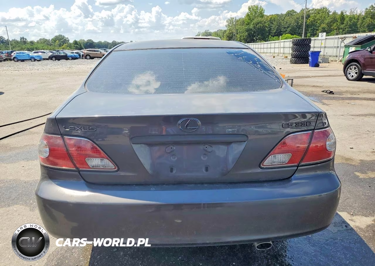 2004 Lexus Es 330 VIN:JTHBA30G945029685 - 6