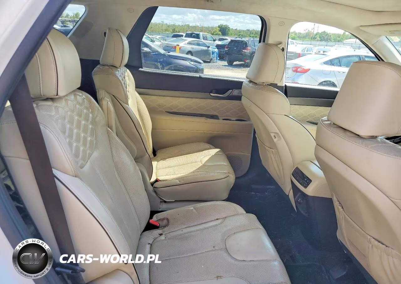 2020 Hyundai Palisade Limited VIN:KM8R54HE8LU088577 - 10