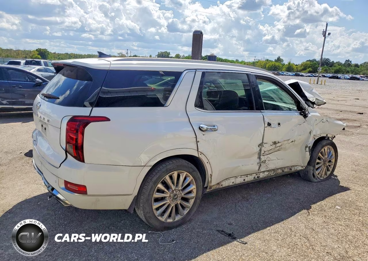 2020 Hyundai Palisade Limited VIN:KM8R54HE8LU088577 - 3
