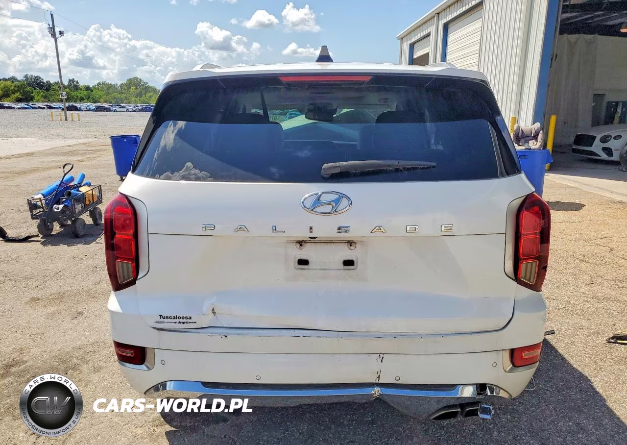 2020 Hyundai Palisade Limited VIN:KM8R54HE8LU088577 - 6