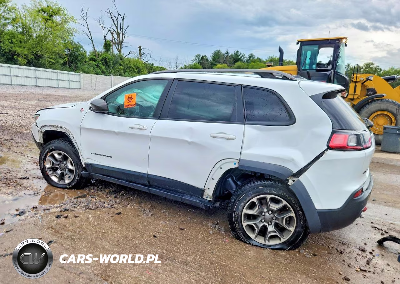 2019 Jeep Cherokee Trailhawk VIN:1C4PJMBX6KD167987 - 2