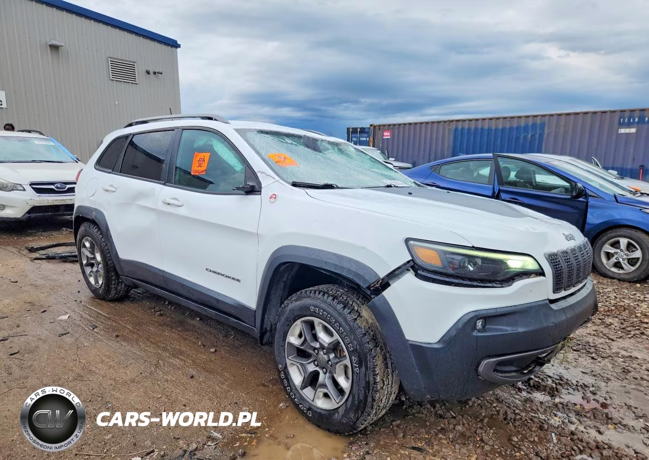 2019 Jeep Cherokee Trailhawk VIN:1C4PJMBX6KD167987 - 4