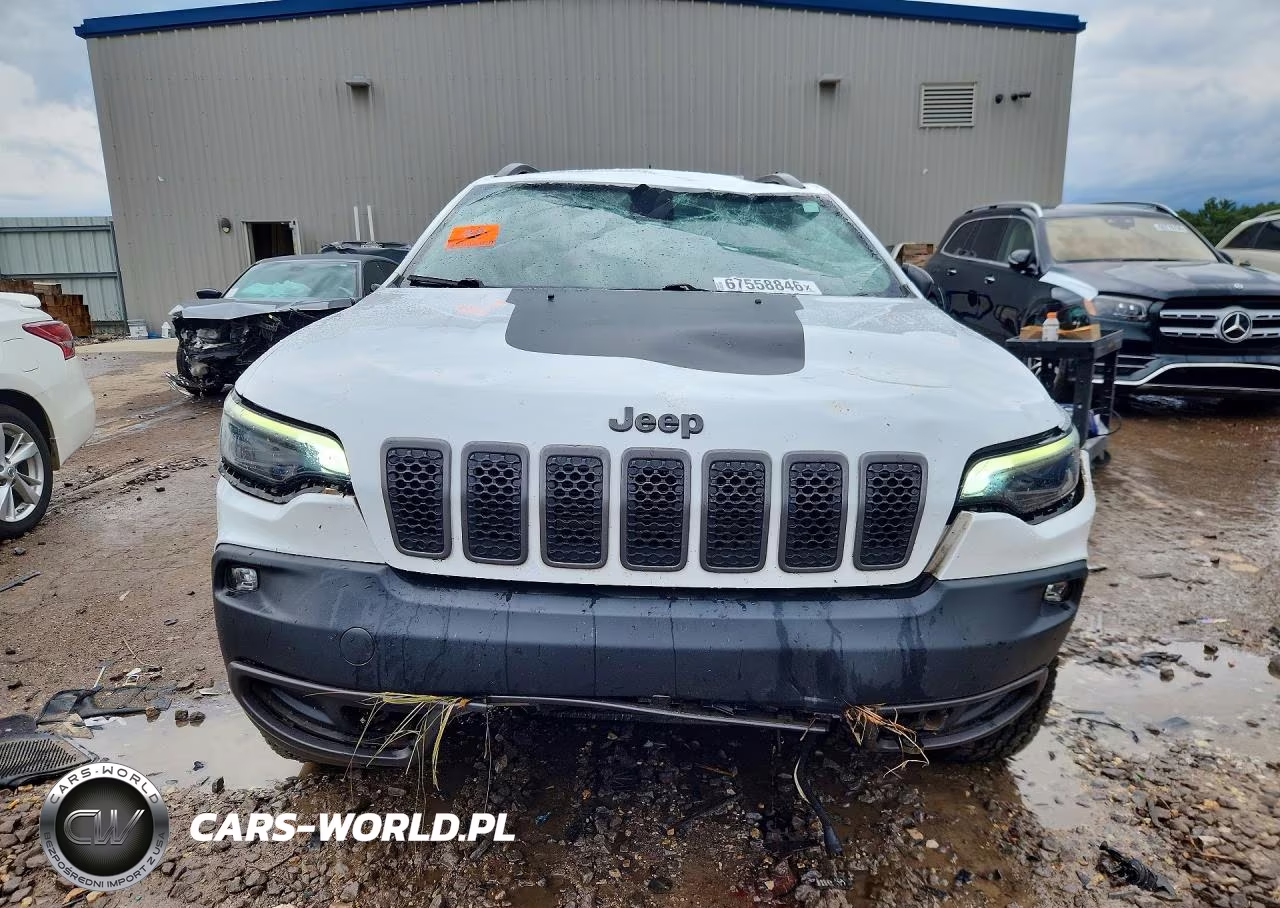 2019 Jeep Cherokee Trailhawk VIN:1C4PJMBX6KD167987 - 5