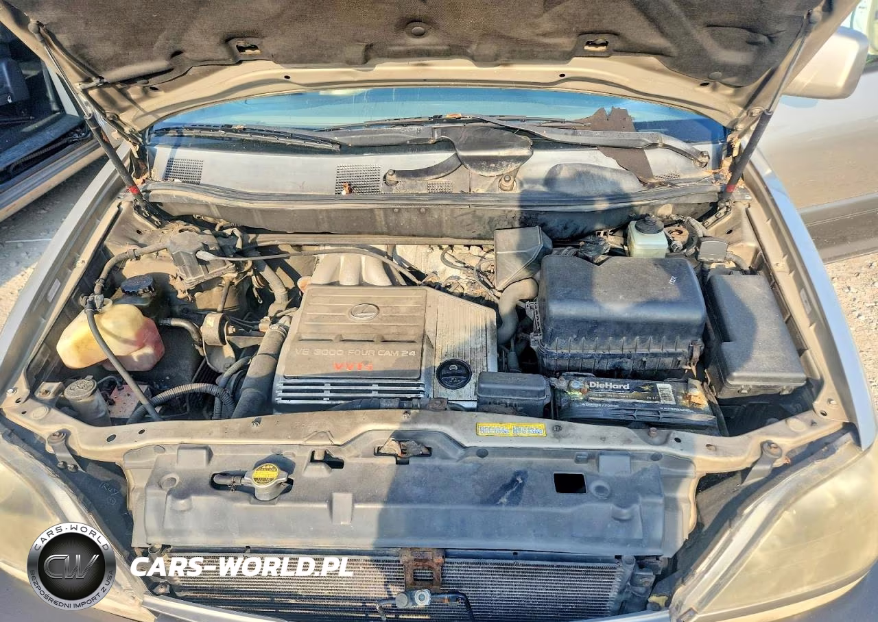 2000 Lexus Rx 300 VIN:JT6HF10U0Y0152356 - 11