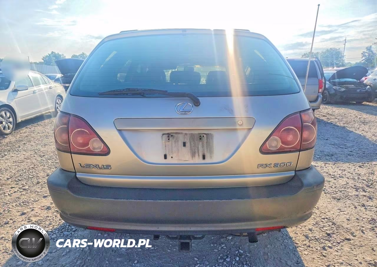 2000 Lexus Rx 300 VIN:JT6HF10U0Y0152356 - 6