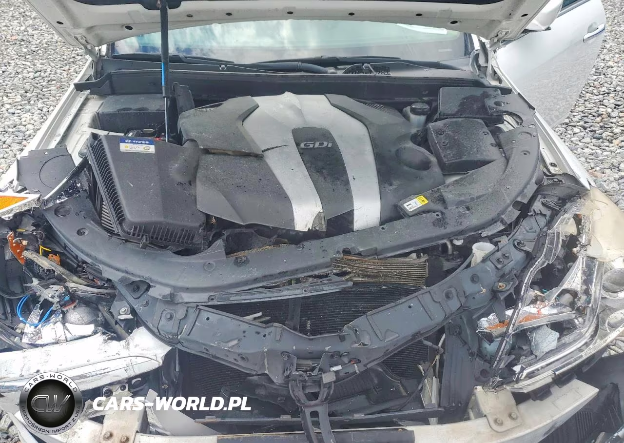 2013 Hyundai Genesis 3.8L VIN:KMHGC4DD9DU210195 - 11