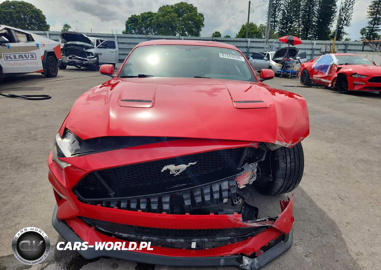 2019 Ford Mustang Gt VIN:1FA6P8CF1K5200451 - 5