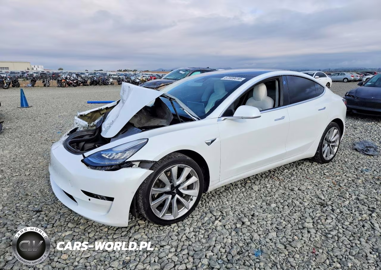 2019 Tesla Model 3 VIN:5YJ3E1EB2KF494820 - 1