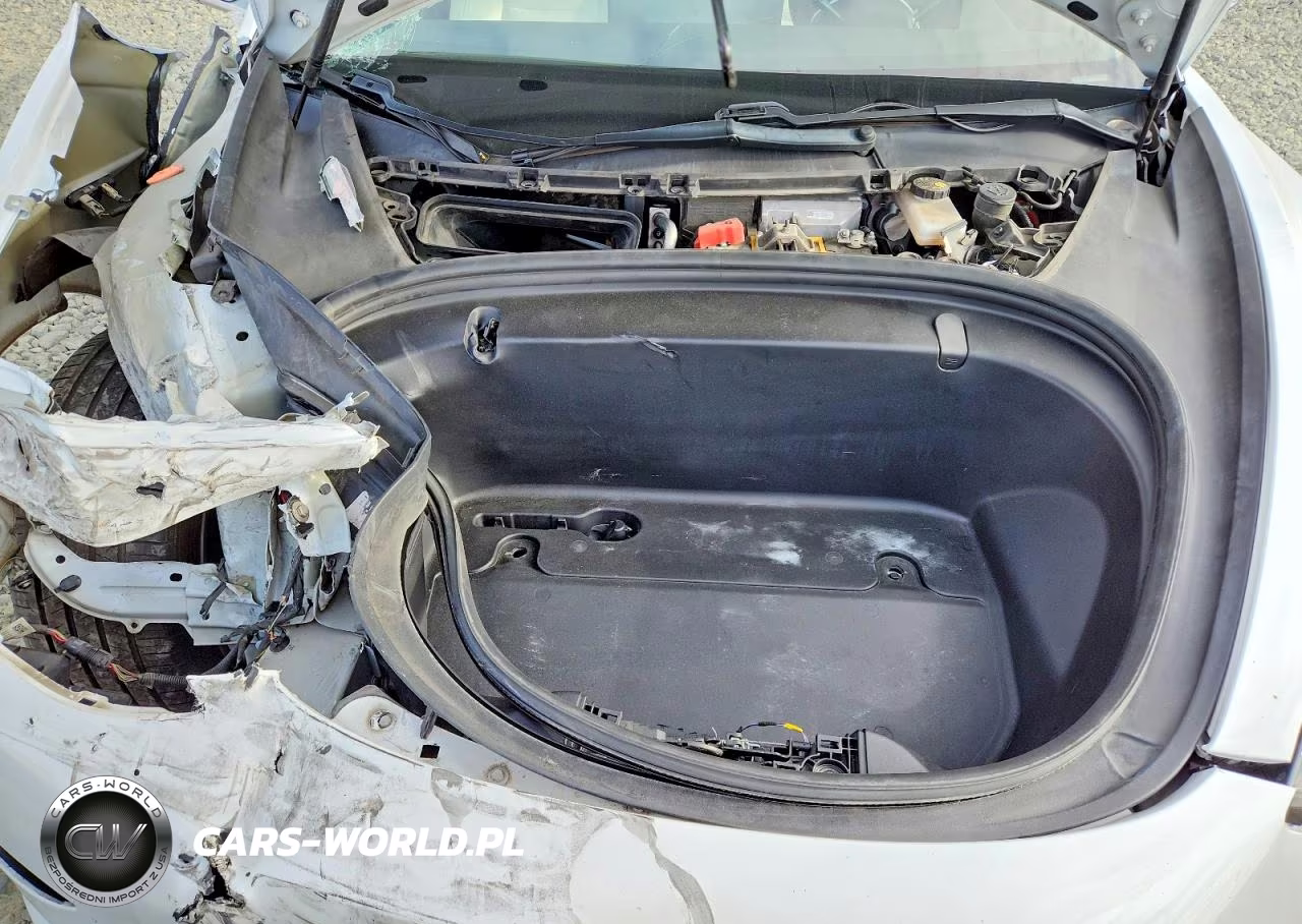 2019 Tesla Model 3 VIN:5YJ3E1EB2KF494820 - 11