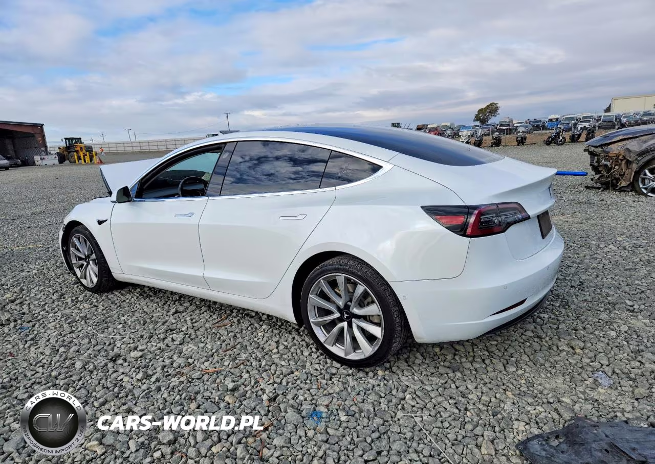 2019 Tesla Model 3 VIN:5YJ3E1EB2KF494820 - 2