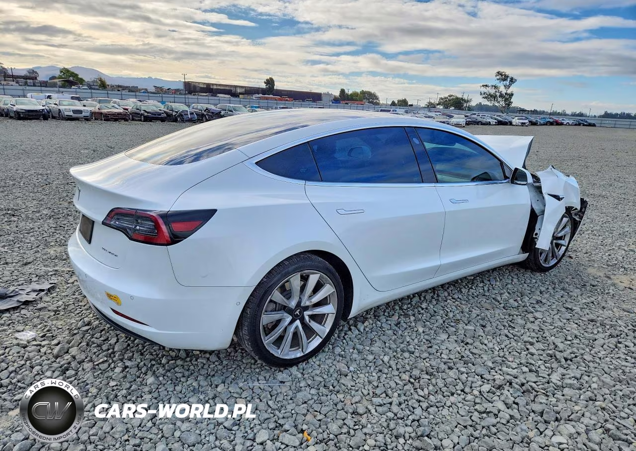 2019 Tesla Model 3 VIN:5YJ3E1EB2KF494820 - 3