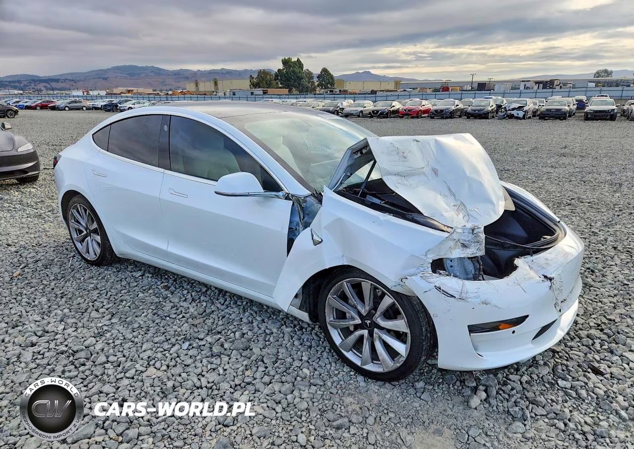 2019 Tesla Model 3 VIN:5YJ3E1EB2KF494820 - 4