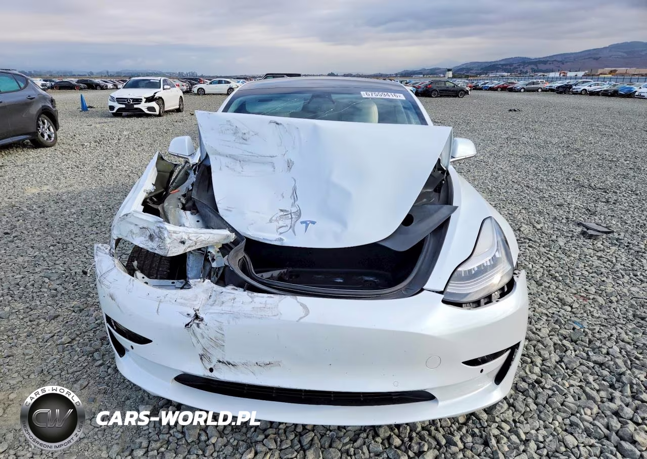 2019 Tesla Model 3 VIN:5YJ3E1EB2KF494820 - 5