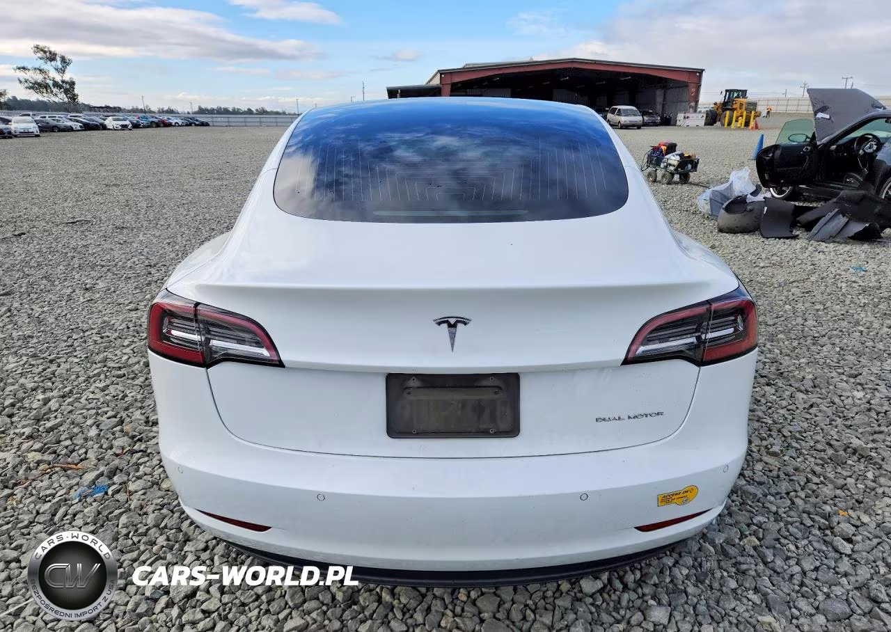 2019 Tesla Model 3 VIN:5YJ3E1EB2KF494820 - 6