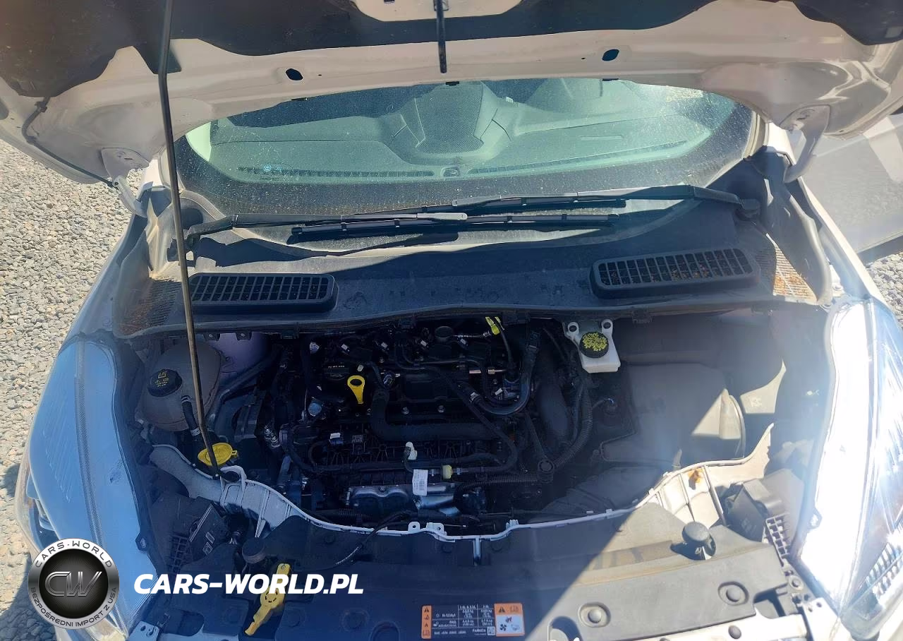 2019 Ford Escape Sel VIN:1FMCU9HD4KUB03491 - 12