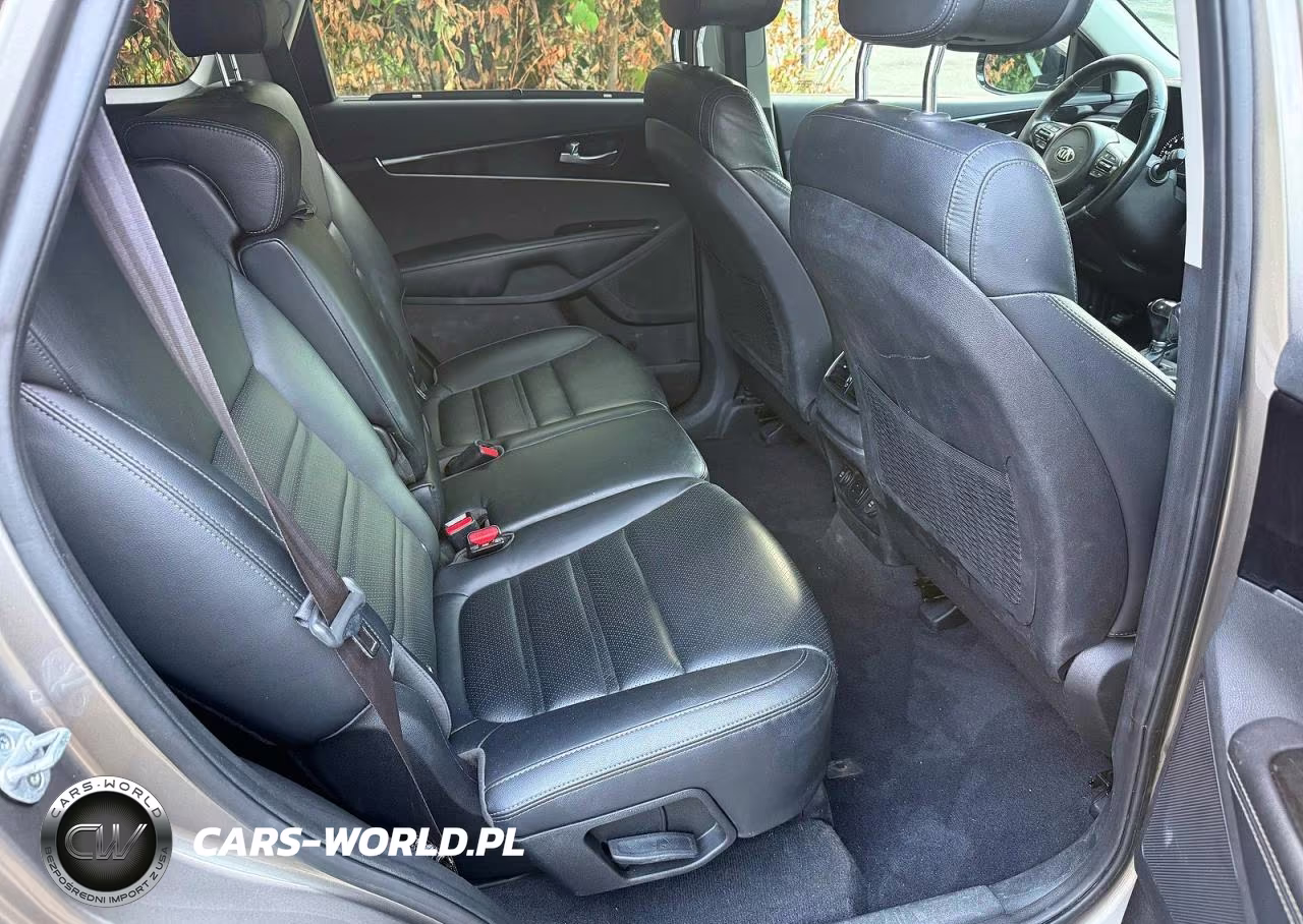 2016 Kia Sorento Ex VIN:5XYPHDA53GG004895 - 6