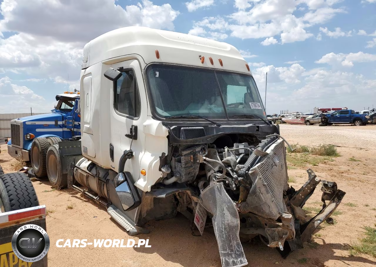 2015 Freightliner Cascadia 113