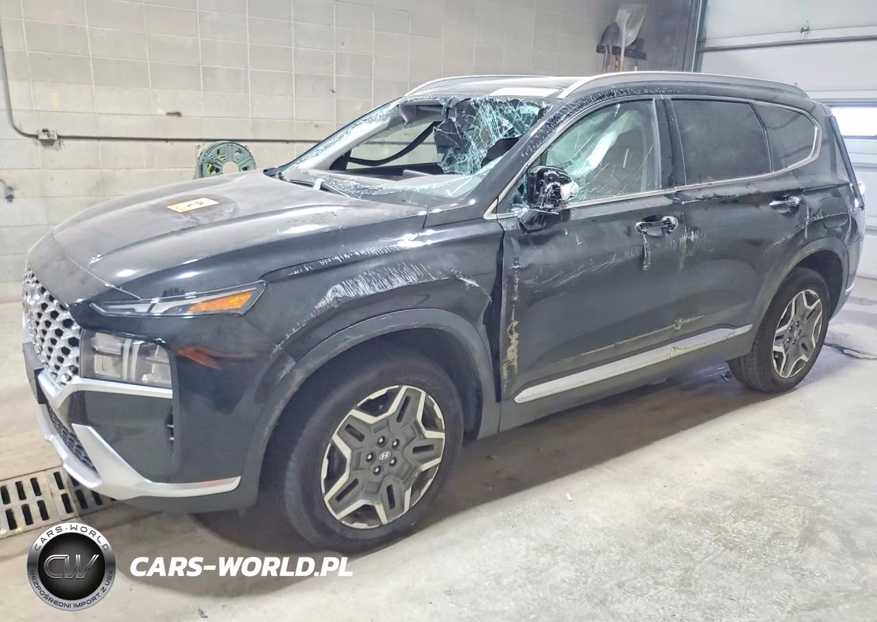 2022 Hyundai Santa Fe Sel Premium VIN:KM8S3DA16NU046684 - 1