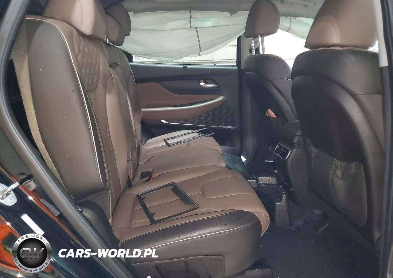 2022 Hyundai Santa Fe Sel Premium VIN:KM8S3DA16NU046684 - 11