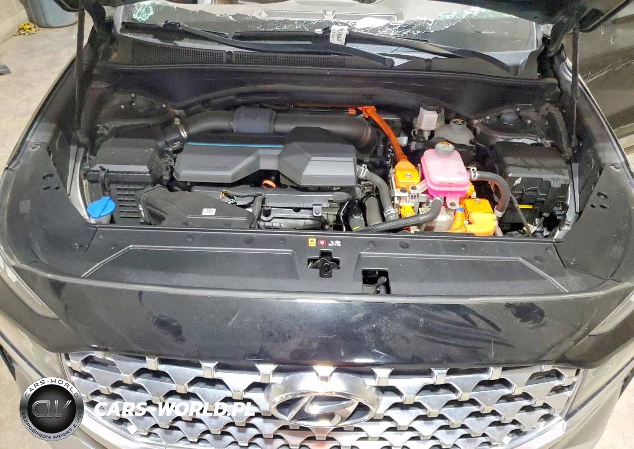 2022 Hyundai Santa Fe Sel Premium VIN:KM8S3DA16NU046684 - 12