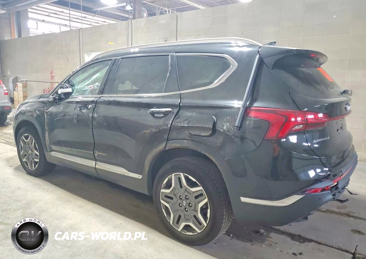 2022 Hyundai Santa Fe Sel Premium VIN:KM8S3DA16NU046684 - 2