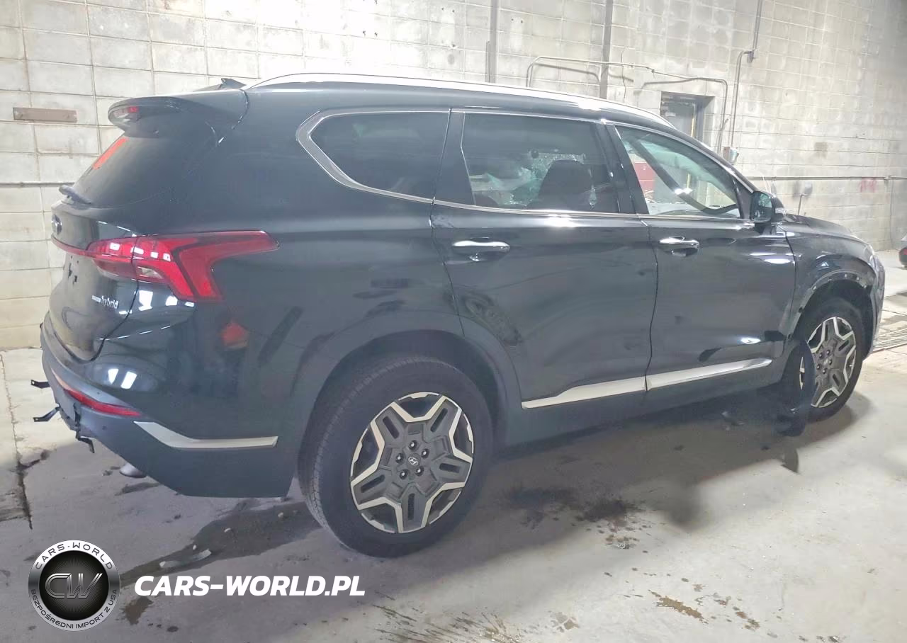 2022 Hyundai Santa Fe Sel Premium VIN:KM8S3DA16NU046684 - 3