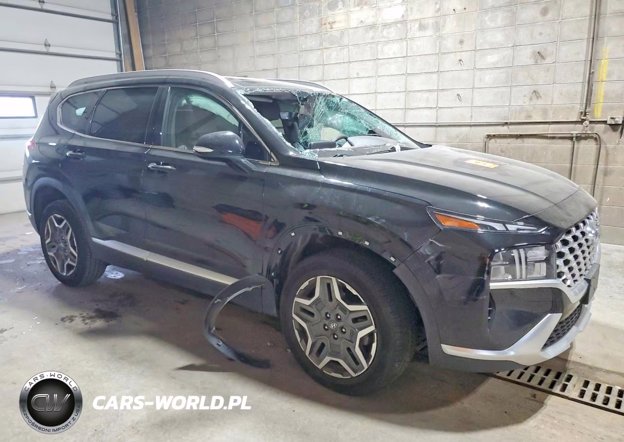 2022 Hyundai Santa Fe Sel Premium VIN:KM8S3DA16NU046684 - 4