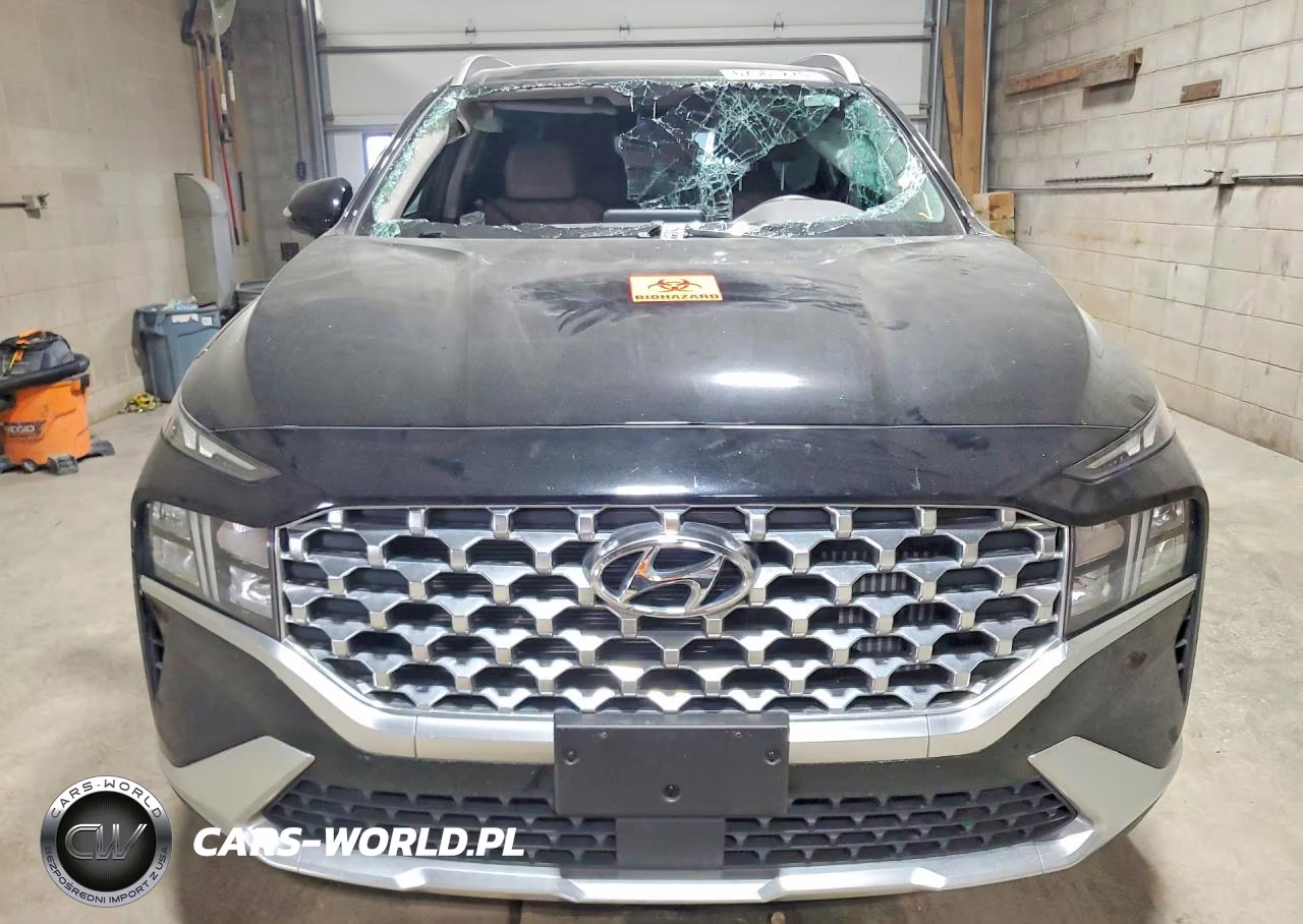 2022 Hyundai Santa Fe Sel Premium VIN:KM8S3DA16NU046684 - 5