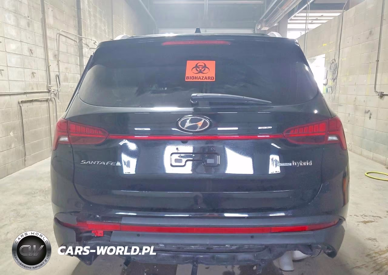2022 Hyundai Santa Fe Sel Premium VIN:KM8S3DA16NU046684 - 6
