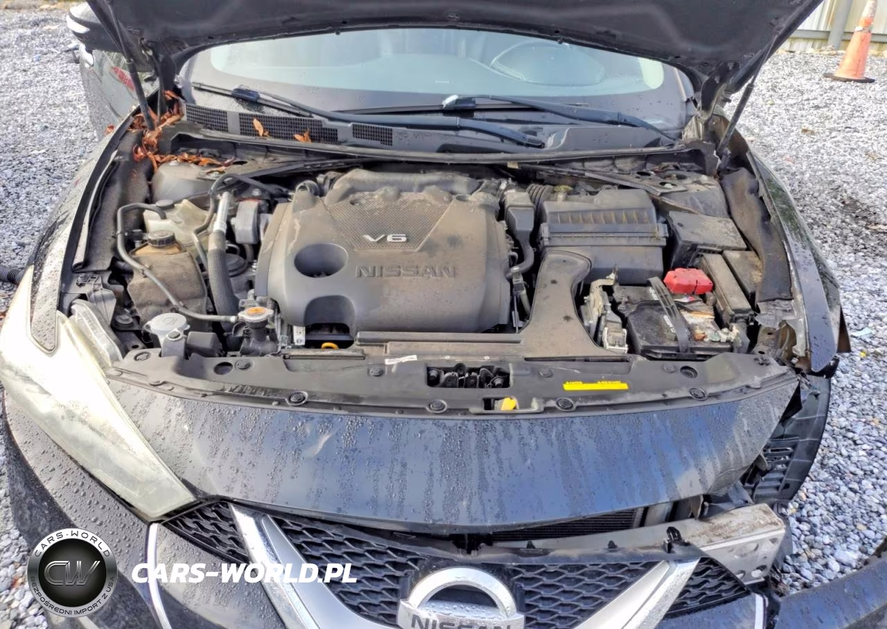 2016 Nissan Maxima Platinum VIN:1N4AA6AP9GC434643 - 11