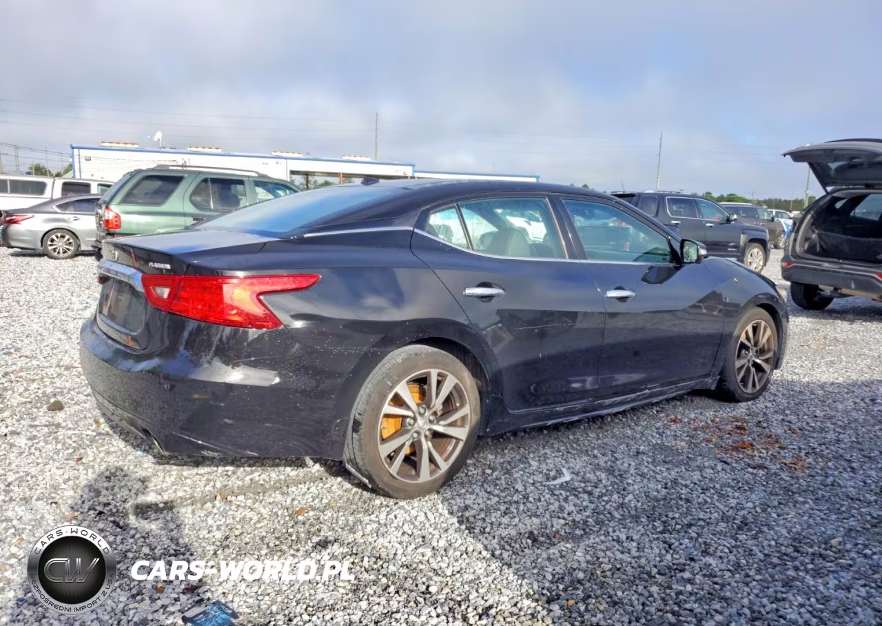 2016 Nissan Maxima Platinum VIN:1N4AA6AP9GC434643 - 3