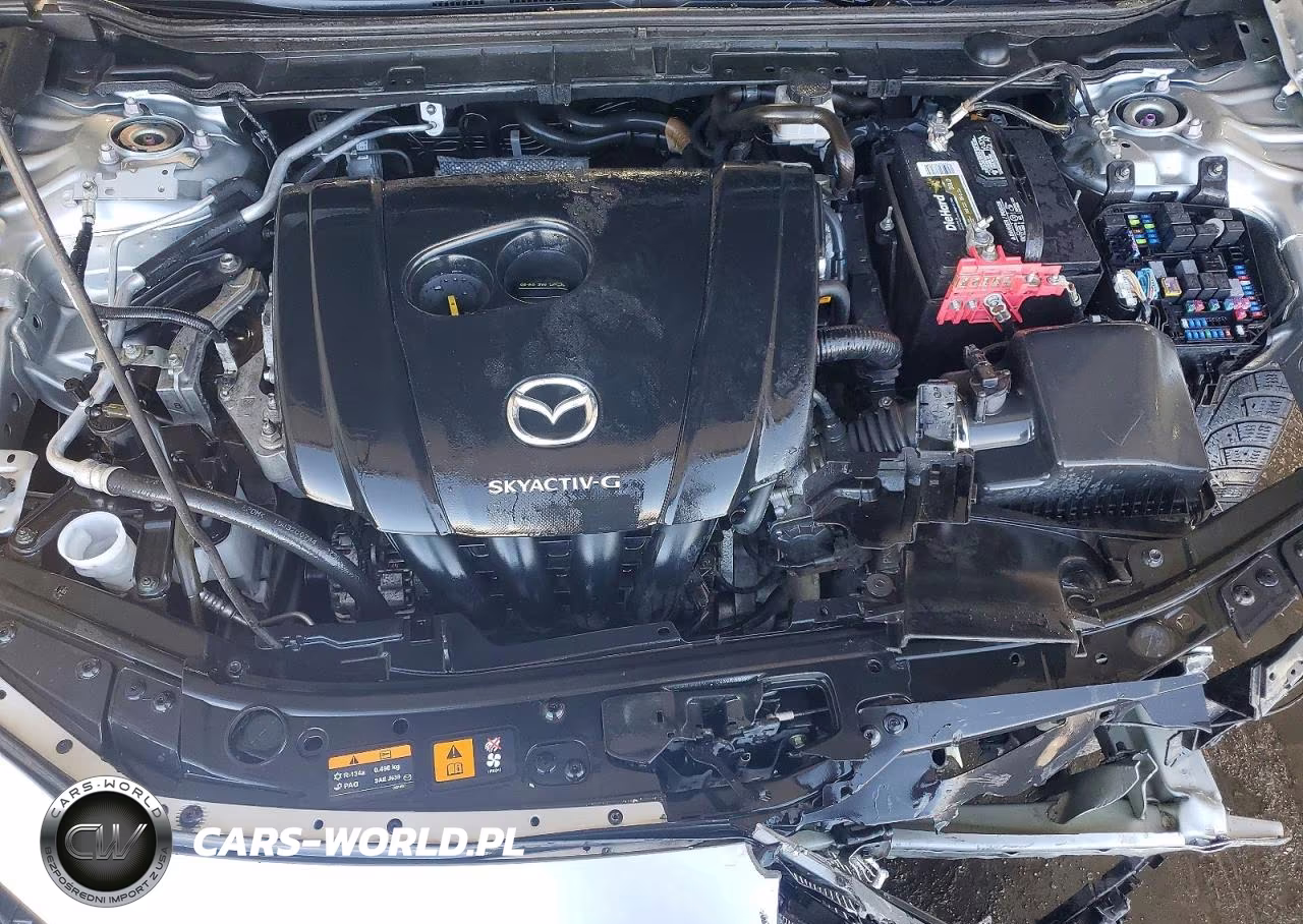 2019 Mazda 3 VIN:3MZBPABL0KM113901 - 11