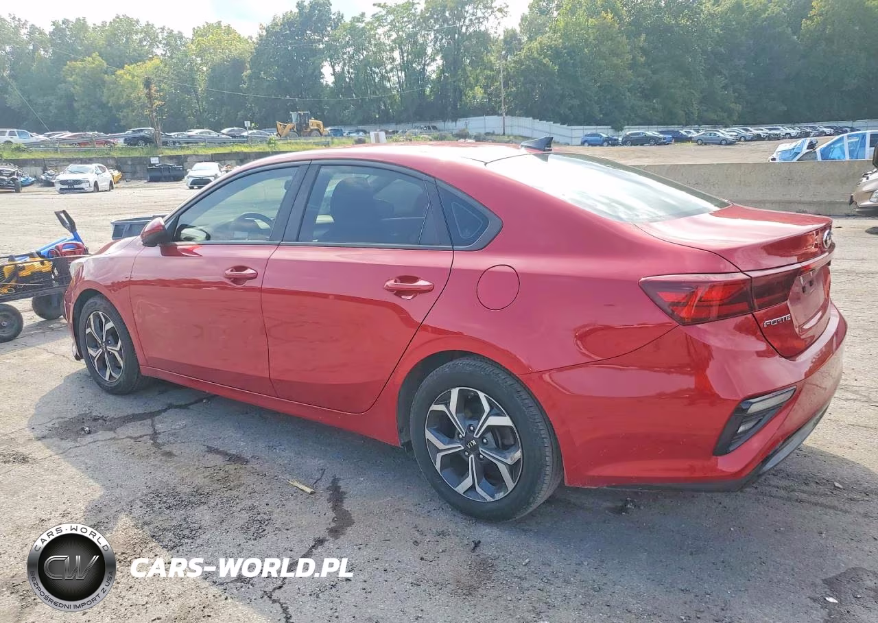 2019 Kia Forte Lxs VIN:3KPF24ADXKE073853 - 2