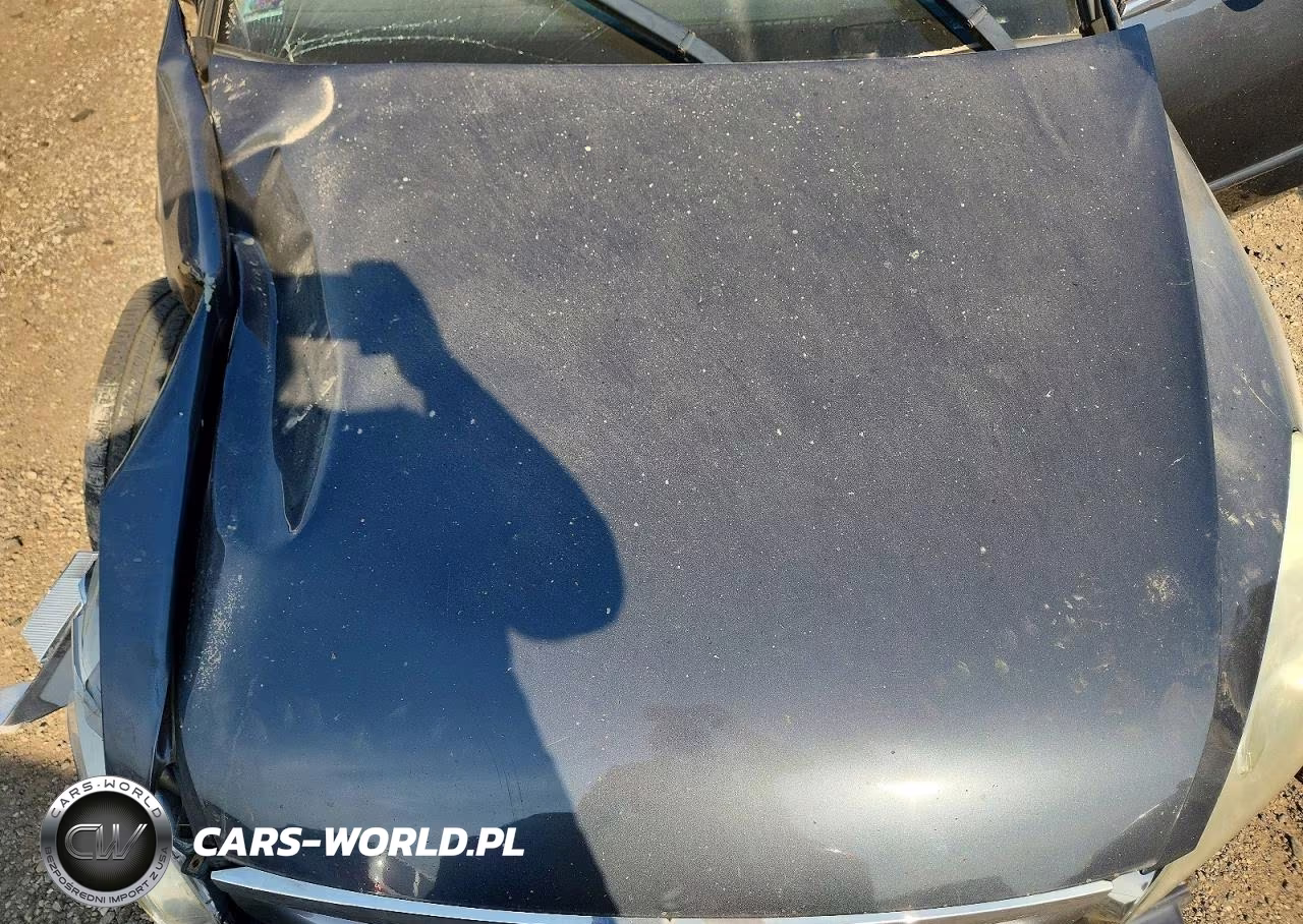 2007 Honda Accord Ex VIN:1HGCM56847A131661 - 11
