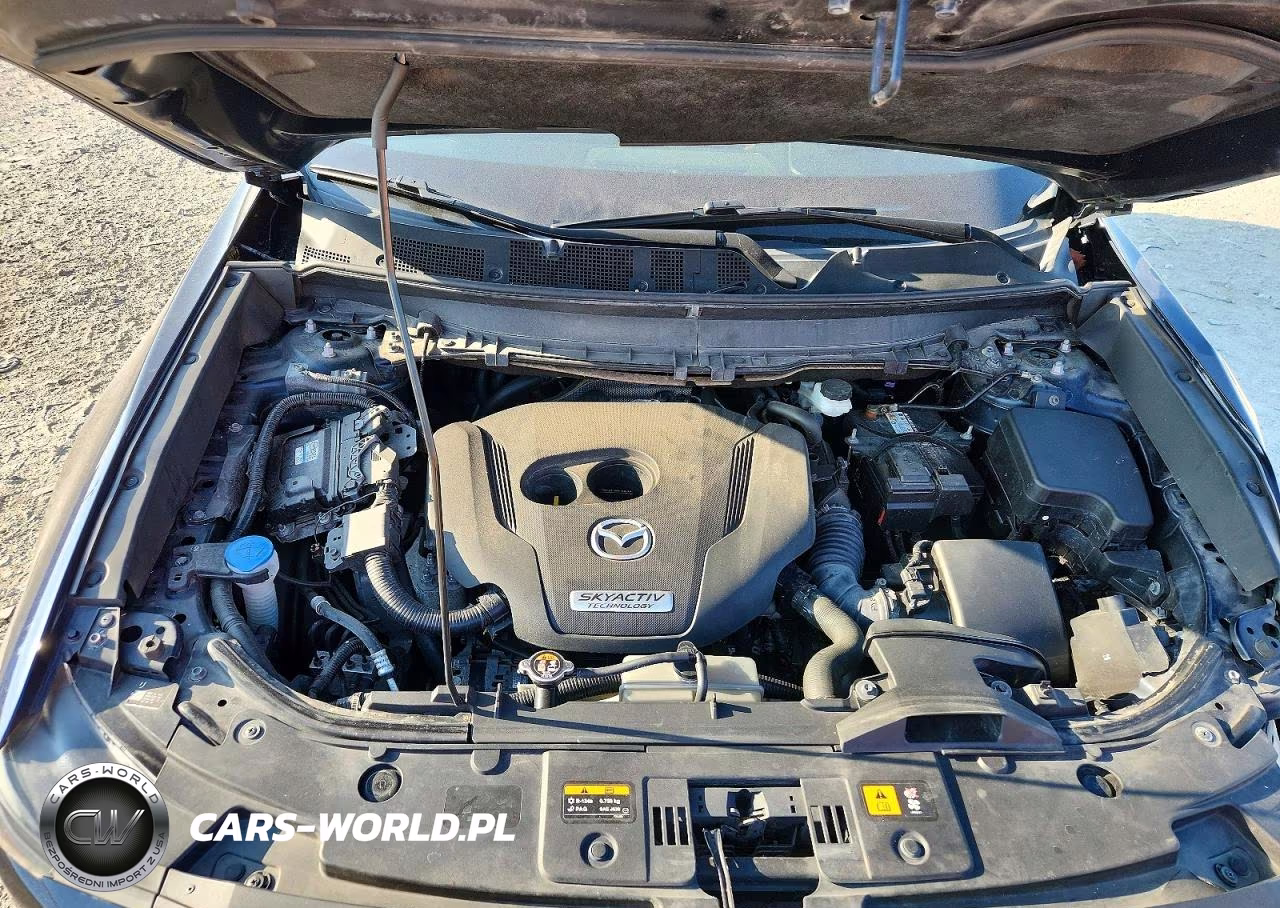 2017 Mazda Cx-9 Grand Touring VIN:JM3TCBDY2H0127819 - 12