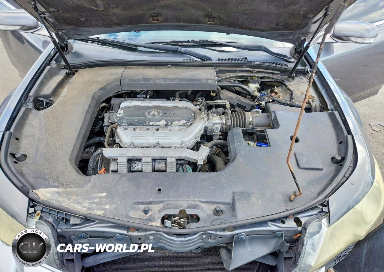 2010 Acura Tl VIN:19UUA8F51AA014843 - 11