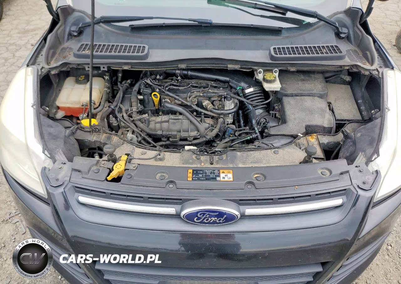 2014 Ford Escape Se VIN:1FMCU0GX1EUC02197 - 12